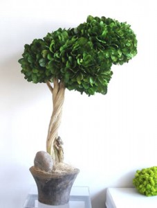 Sculptural Tree from Krislyn Boutique and Design Studio